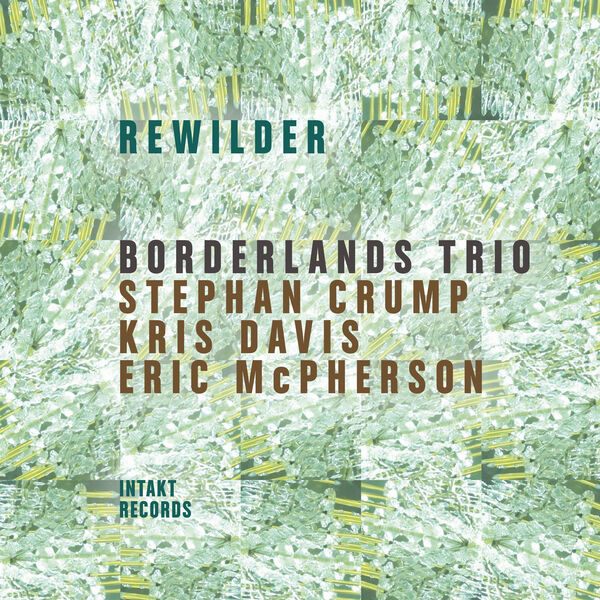 Borderlands Trio - Rewilder (Intakt Records, 2024)