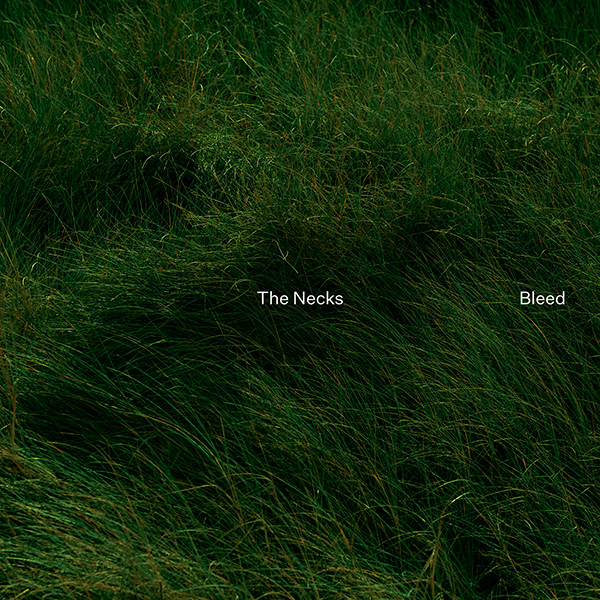 The Necks – Bleed (Northern Spy, 2024)